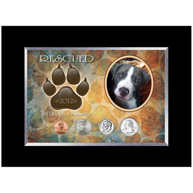 Rescued Year to Remember Dog 4 Coin Desk Frame