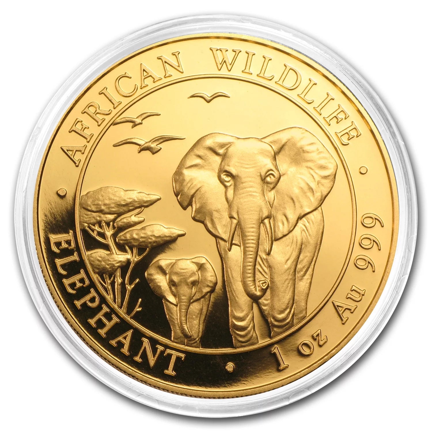 2015 Somalia 1 Oz Gold African Elephant BU