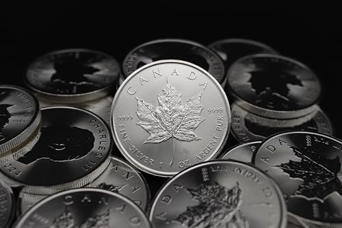 Collectible Lot of 25 Silver Maple Leaf Coins – Brilliant Uncirculated!