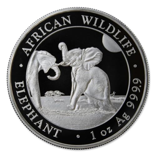 Brilliant Uncirculated 2024 Somalia Silver Elephant - African Wildlife 100 Shillings