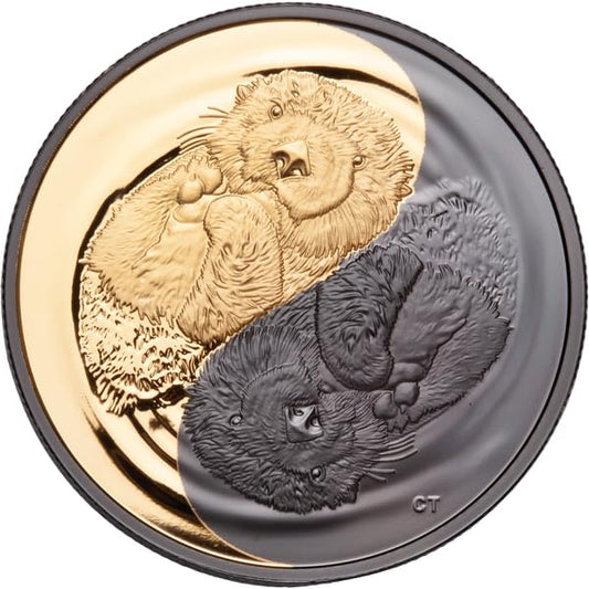Rare 2022 Canada Sea Otter Silver $20 – Matte Proof with Black Rhodium & Gold!”