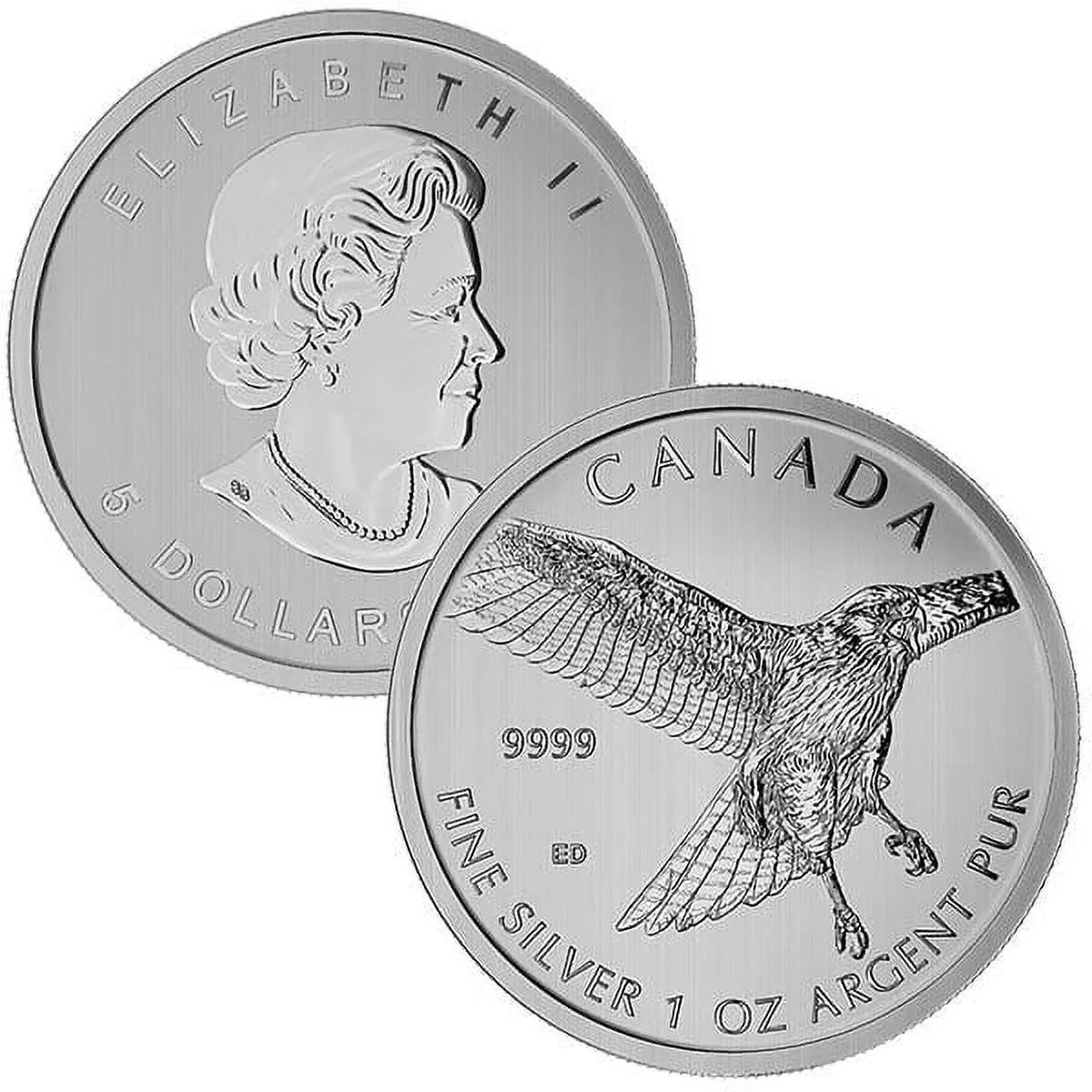 Royal Canadian Mint Canadian Birds of Prey - "Red-Tailed" Hawk, 1 Oz,Bullion