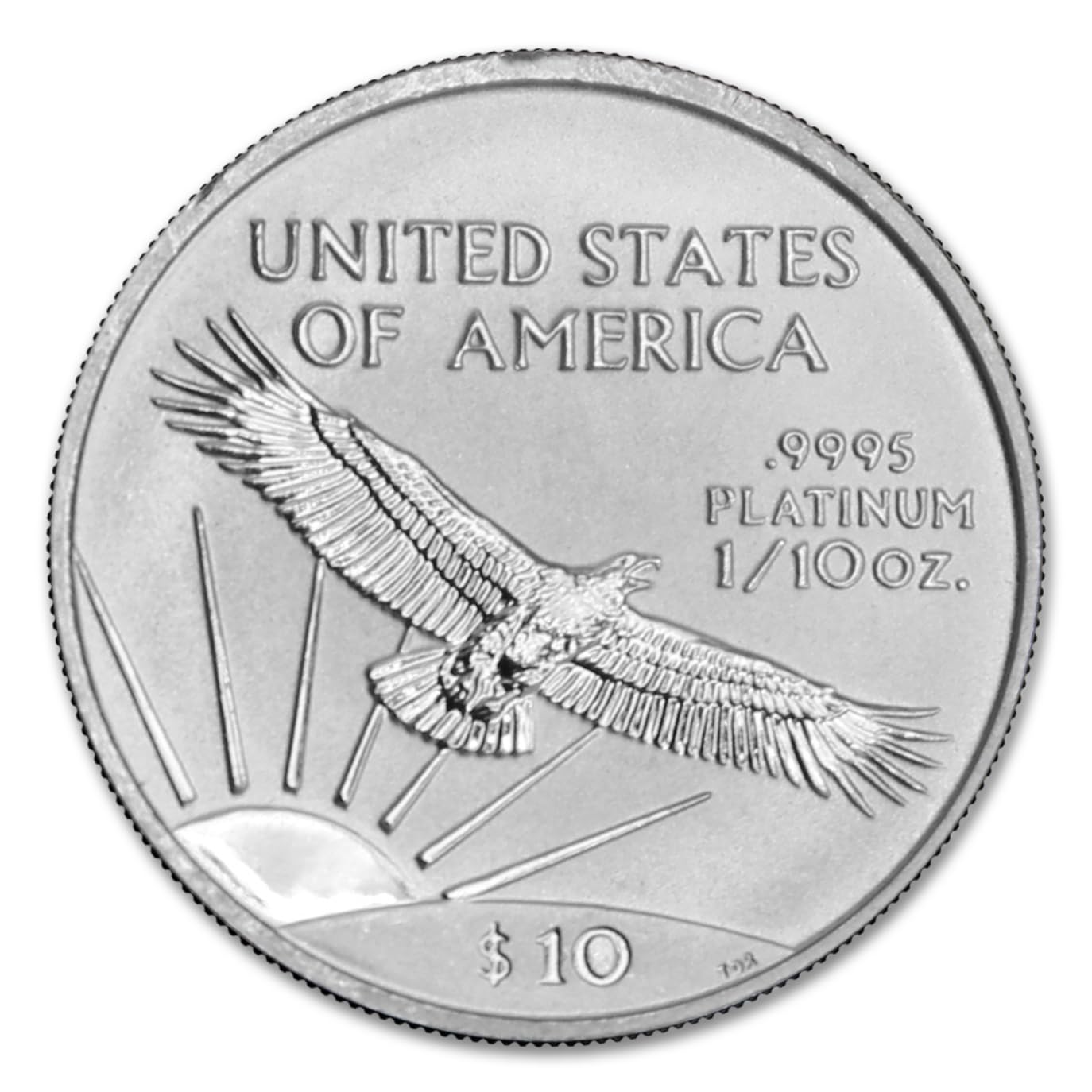 Rare 1/10 oz American Platinum Eagle Coin BU - Random Year with COA