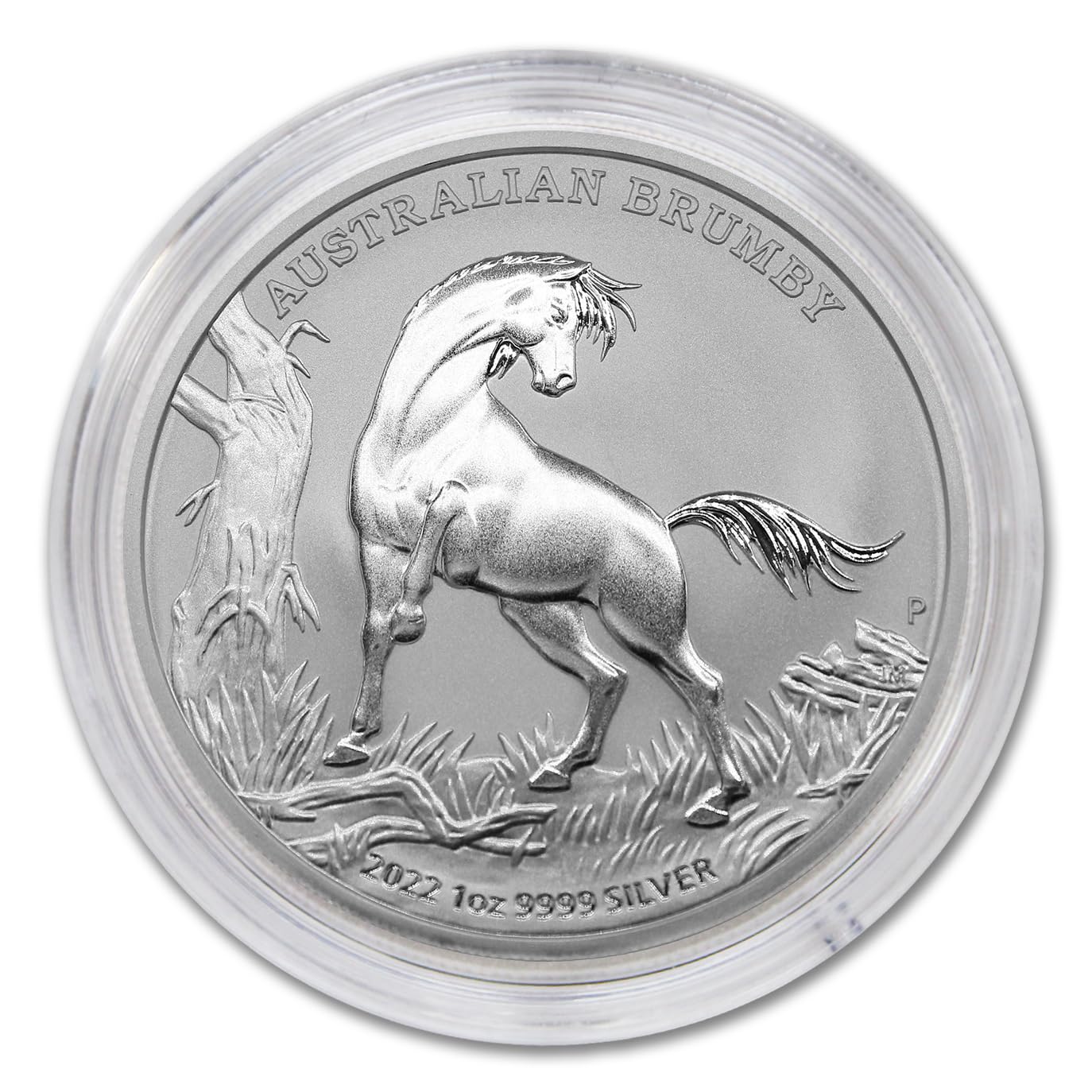 Exclusive 2022-P Australian Brumby Horse Coin – BU with Certificate!