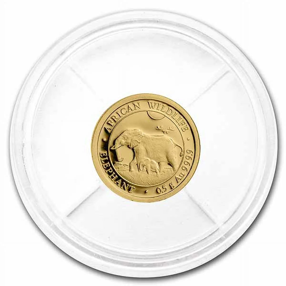 2022 Somalia 1/2 Gram Gold African Elephant BU