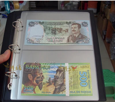 Premium 10PCS Banknote Album Pages - 2-Line PVC Sleeves for Collectors"