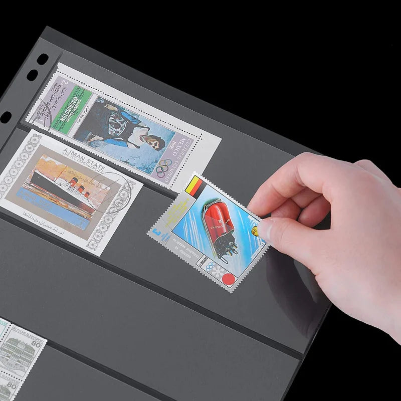 Durable 1-6 Slot Banknote Holder Sleeves - 10/20Pcs Transparent PVC Sheets"
