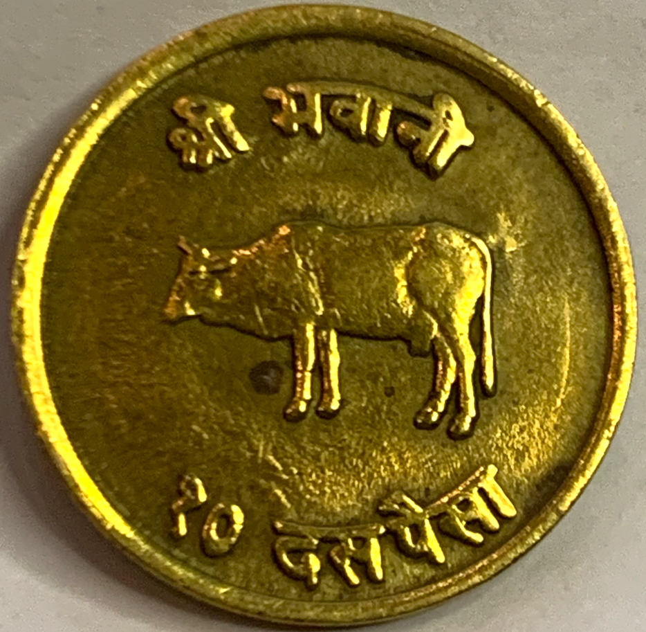 Rare Nepal 10 Paisa Coin 2024 (1967) – Brass Treasure from the Reign of King Mahendra!”