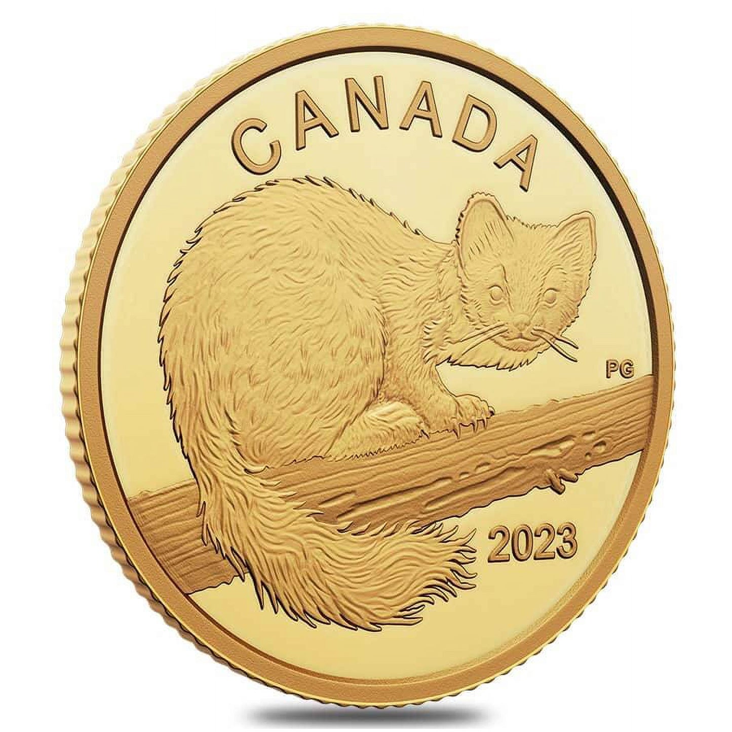 2023 Canada 1/20 Oz the Curious Marten Proof Gold Coin