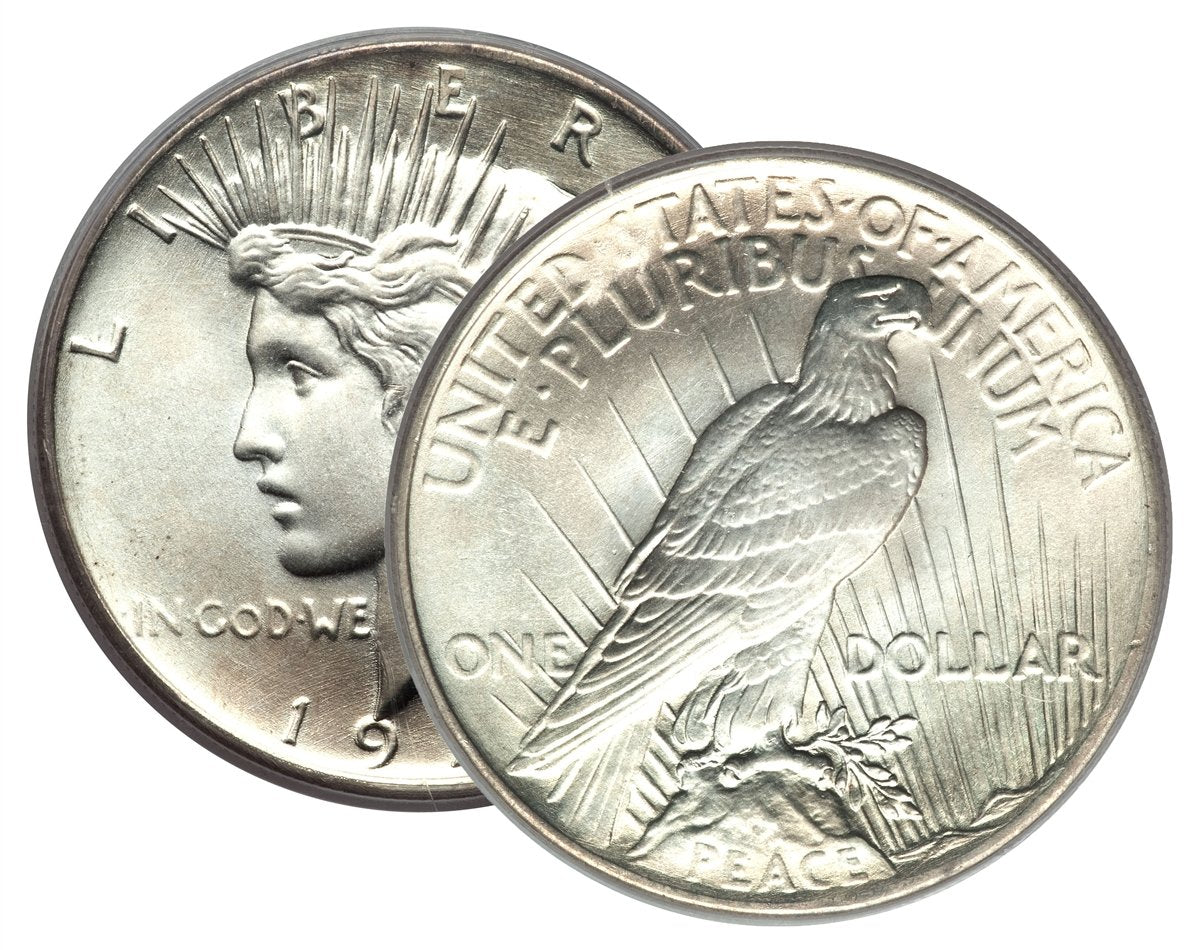 1924 - Peace and 2024 Silver Eagle - 100 Year Silver Dollar Set in Deluxe Holders Dollar Seller Circulated, Uncirculated