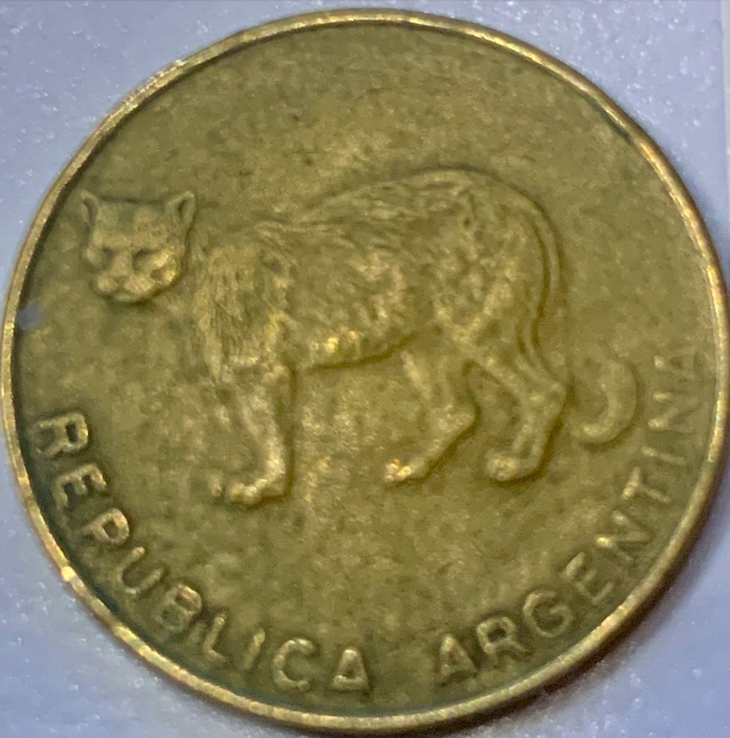 Own a Piece of Argentinian History: Exquisite 1949 Argentina 20 Centavos Coin