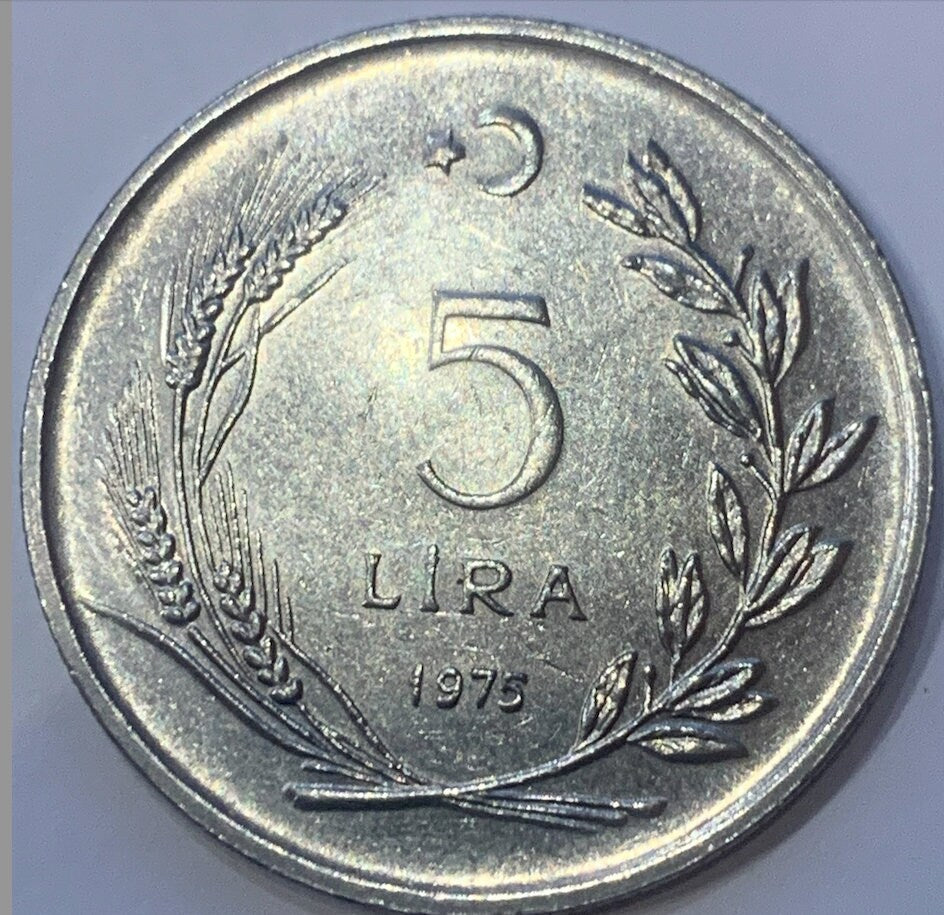 Rare Turkish Lira Collection: A Journey Through Time