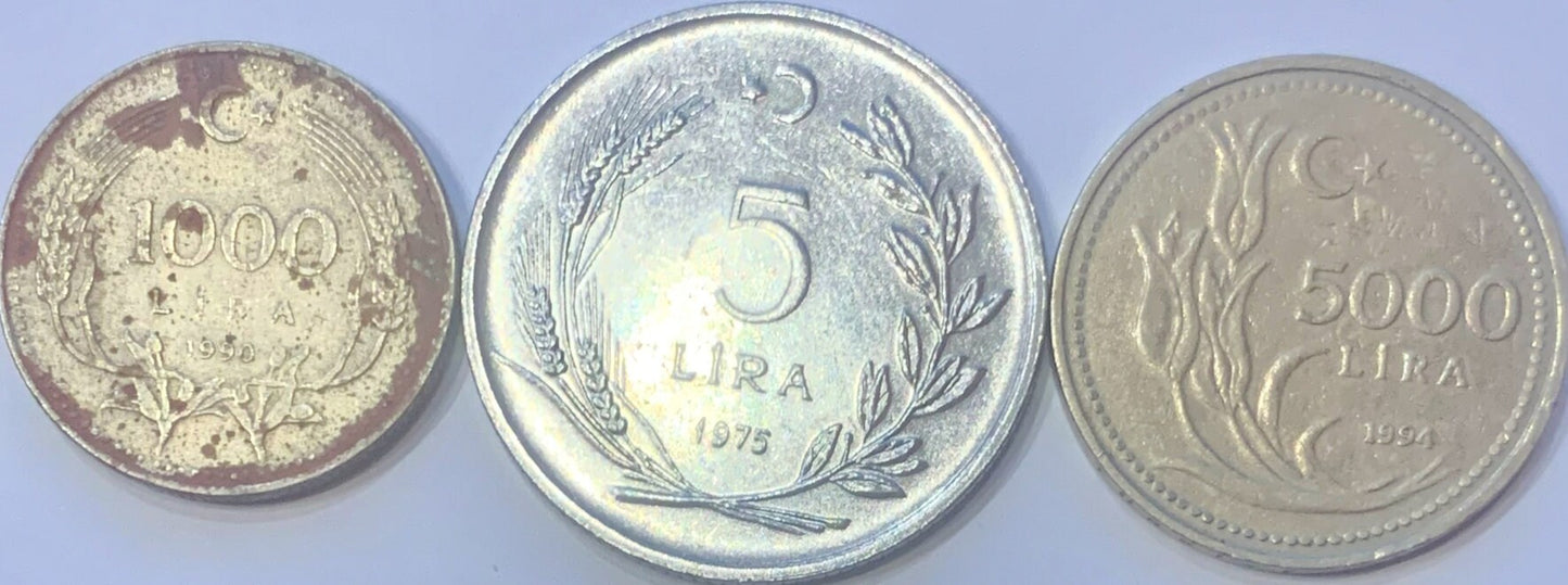 Rare Turkish Lira Collection: A Journey Through Time